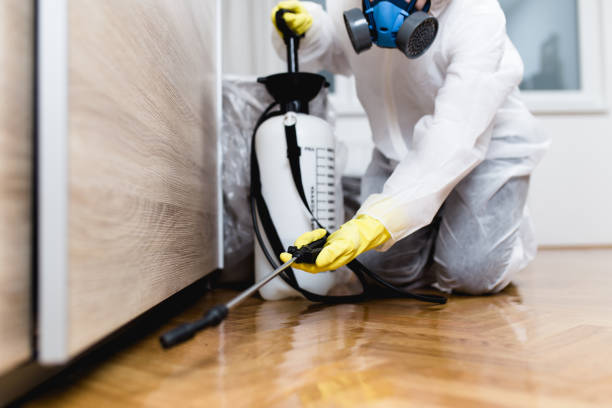 Best Rat Extermination Near Me  in Leona Valley, CA