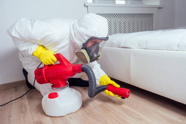 Best Pest Removal Services  in Leona Valley, CA
