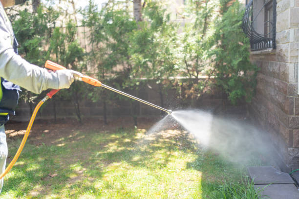 Best Exterminator Services  in Leona Valley, CA