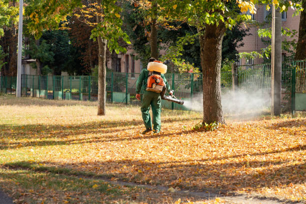 Best Pest Inspection Near Me  in Leona Valley, CA