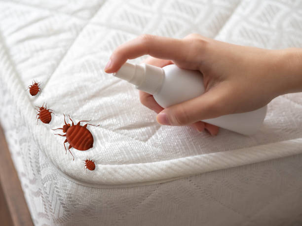 Best Cockroach Control Services  in Leona Valley, CA