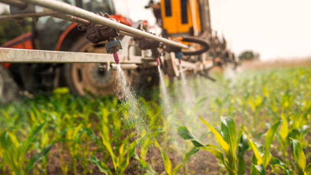 Best Ant Control Services  in Leona Valley, CA