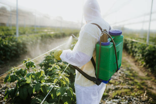 Flea Control Services in Leona Valley, CA